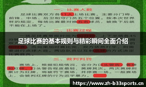 b33体育平台