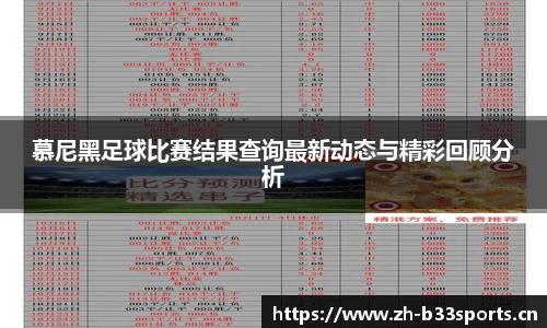 b33体育