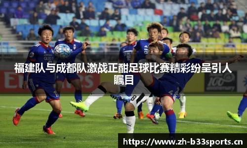 福建队与成都队激战正酣足球比赛精彩纷呈引人瞩目
