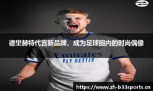 b33体育平台