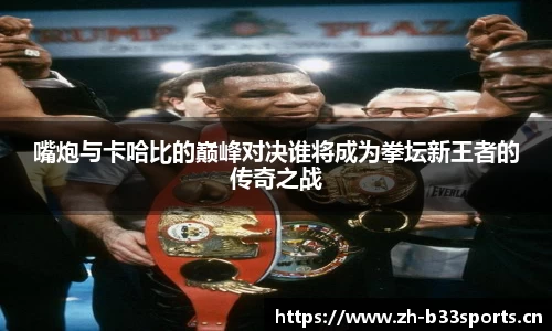 b33体育官方网站