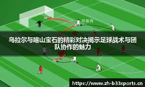 b33体育